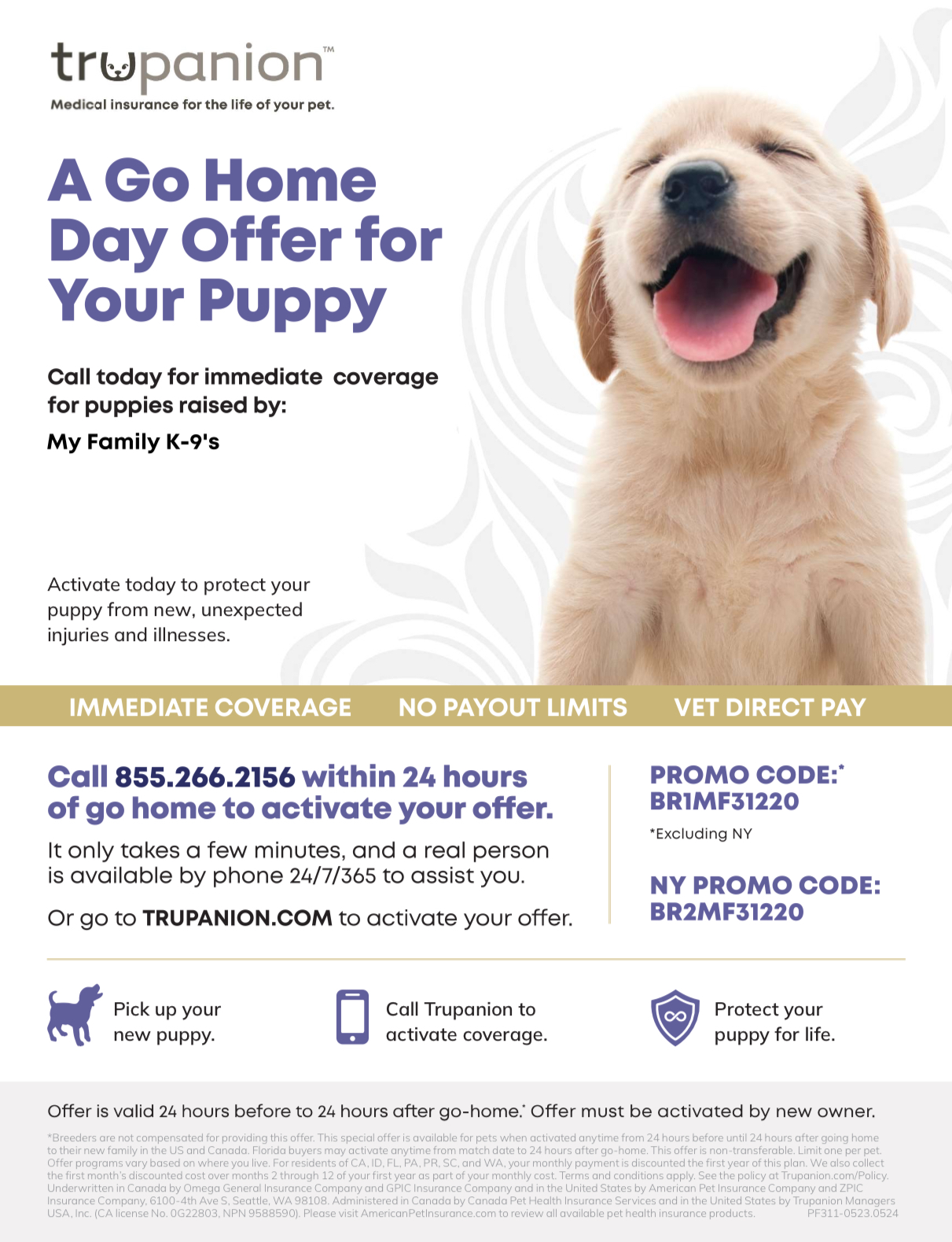 Puppy Product Recommendations